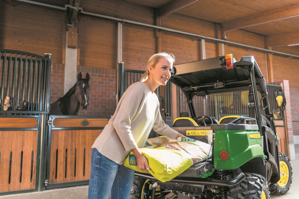 Equine Program Image 