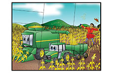 Corey & Johnny Harvest PDF