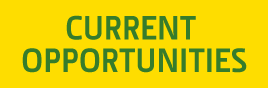 Current Opportunities